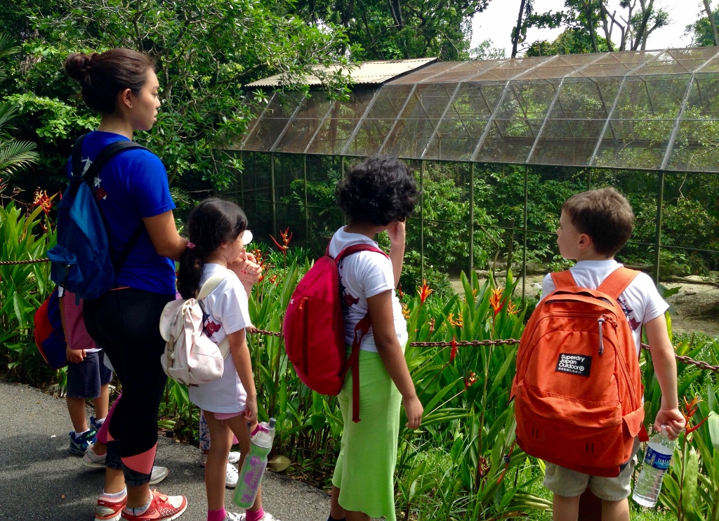 Village Camps International Summer Camp VDC Singapore 2017-07-28 https://www.villagecamps.com/journals_admin/images/1695-8970-IMG_6153 (1024x742).jpg